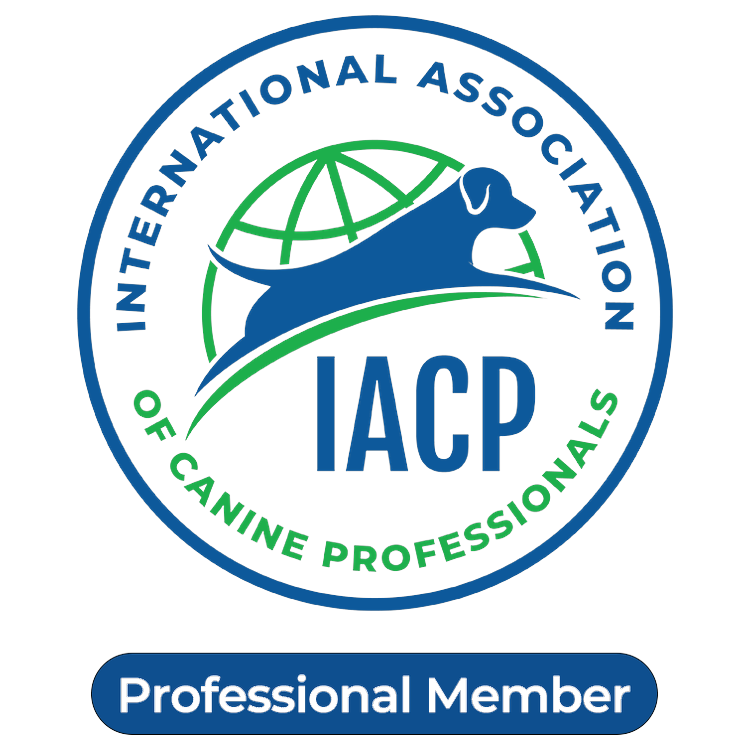 IACP Professional Member badge