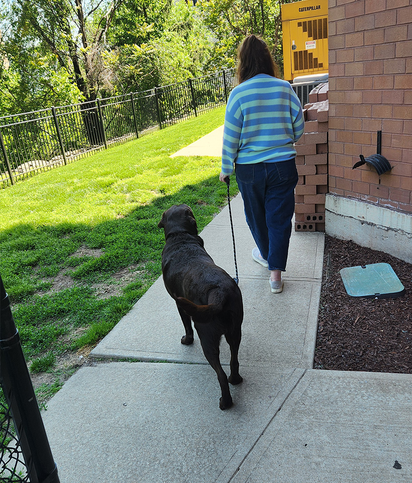 The loose-leash walk you're picturing — your dog moving easily at your side, leash slack, no pulling.